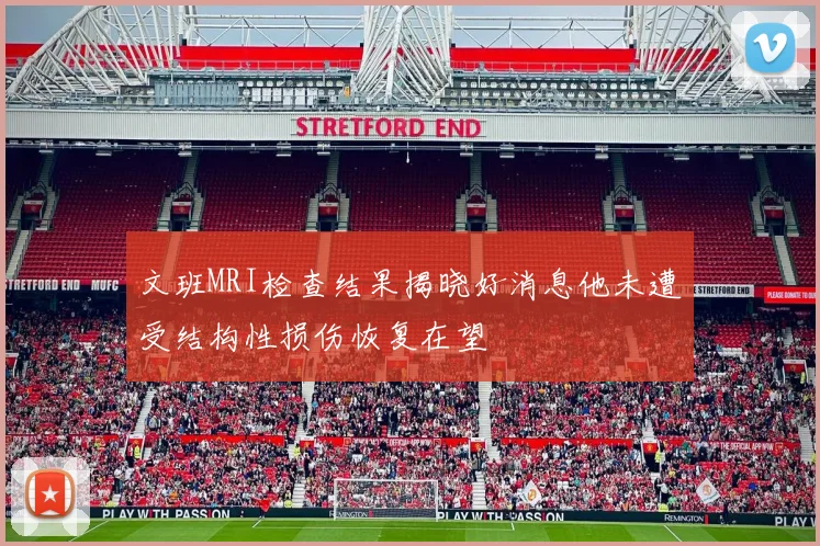 文班MRI检查结果揭晓好消息他未遭受结构性损伤恢复在望