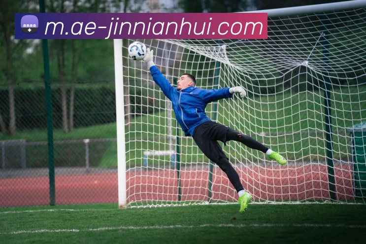 今年会官网服务体系